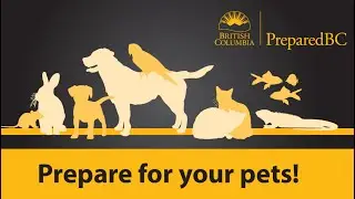 Pet Preparedness