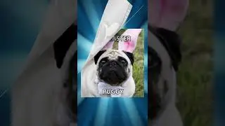Hilarious Easter Memes That Will Make You Laugh Out Loud 6