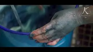 肌に優しいKONOITOの２・３層織ガーゼを使った『色落ちしない昔ながらの藍染』Japanese traditional indigo dyeing does not use chemicals.