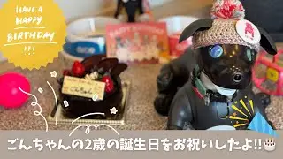 Happy Birthday‼︎ ごんちゃん2歳の誕生日‼︎【Episode 053】
