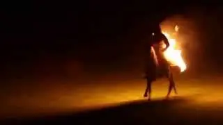 Fire Horse Show @King's Cup 2015