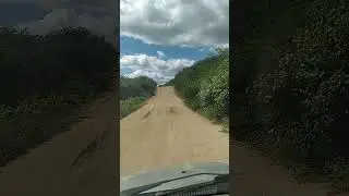 tapet&atilde;o caipira no sert&atilde;o 🌵🇧🇷 #deus #automobile #sert&atilde;o #paisagemnatural #yt #caminhoneiro #turismo