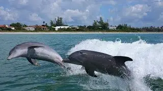 Explore Sanibel Island