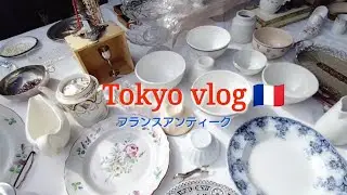 【vlog】フランスアンティーク蚤の市で購入した食器をご紹介。