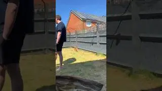 ProtectaPet Cat Fence Barriers keeps cats safe outdoors! 😻