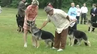 2006 Mid Atlantic Futurity Judge Fred Migliore Video courtesy Bob and Sandra Lindsay