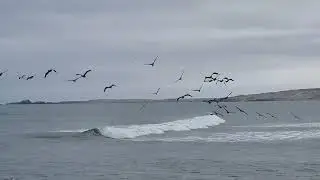 Punta Luna, Peru