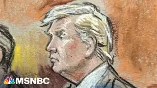 Why didn&rsquo;t Trump have to take a mugshot? Legal expert Nick Ackerman weighs in