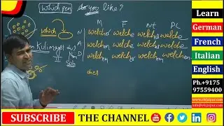 Learn German | Which in german | detusch grammatik in Hindi | A1 A2