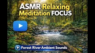 🎧 ASMR Relaxing Meditation Focus &ndash; Forest River Ambient Sounds 🌲💦