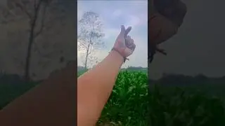 Creative hand video 💛 #shorts #viralvideo