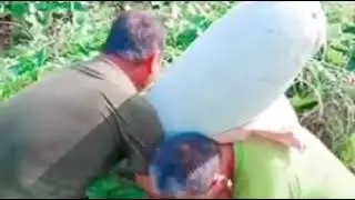 Big vegetable and plants (a impossible agriculture)