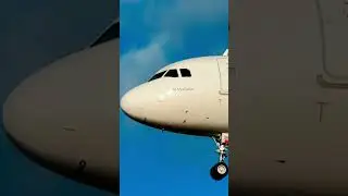 Stunning Planes Landing and Takeoff #planespotting #plane #aviation #heathrow