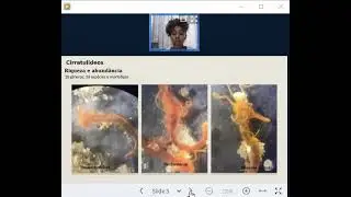 Invent&aacute;rio taxon&ocirc;mico de cirratulidae (Annelida polychaeta) da Ba&iacute;a de todos- os - santos