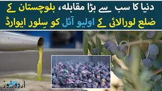New York International Olive Oil Competition | Loralai Olives wins Silver Award