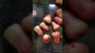 Rose apple jam  #shorts #viral #trending #homemade #food #suhada
