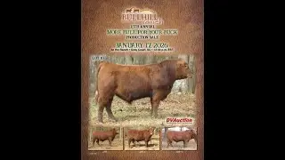 Bull Hill Ranch - 15th Annual 