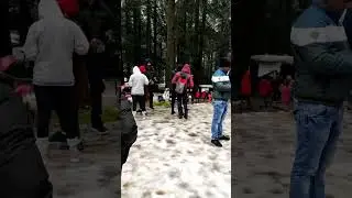 Manali Snowfall 2023 | Hidimba Devi Temple Today | Manali Snowfall live | Snowfall 2023