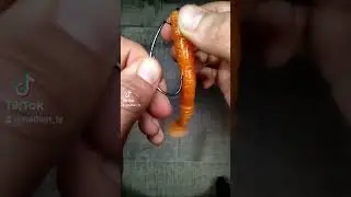 tuto:texan#texanhook #tutorial#peche #montage #leurre #carnassier #comment #rockvibe #fishing #lure