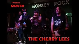 THE FLAME tributo a DOVER por THE CHERRY LEES sala MONKEY ROCK San Sebasti&aacute;n de los Reyes 22/02/2025