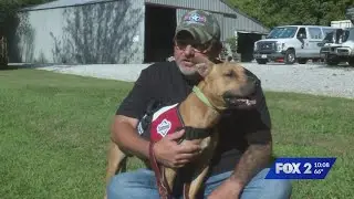 Rescued dogs facing legal limbo now helping veterans