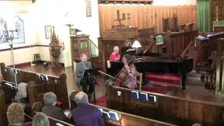 Zemlinski - (3 of 3) Trio for Clarinet, Cello and Piano in D minor, Op. 3 -Allegro