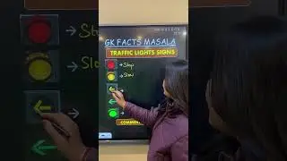 Traffic Lights Signals 👍