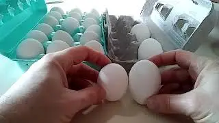 Aldi Eggs Walmart Eggs