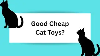 Testing Out Cheap Dollar Tree Cat Toys