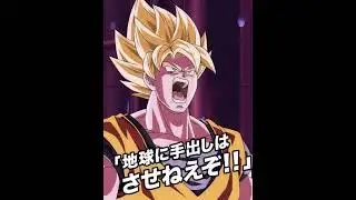 CARNIVAL LR STR Z FIGHTERS SUPER ATTACKS AND ACTIVE SKILL | Dragon Ball Z Dokkan Battle