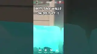 Best Sage walls on Split | pt. 5 | Sage tutorial