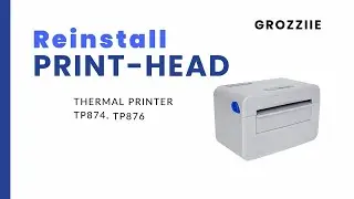 Print Head Reinstall for TP732, TP730, TP874, TP876 English Version | Grozziie