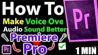 How To Make Voice Over Audio Sound Better In Premiere Pro (Step by Step Guide – Full Tutorial)