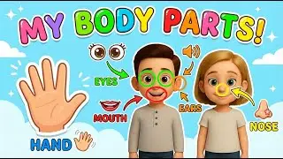 Learn Parts of the Body in English & German | Kids Educational Video