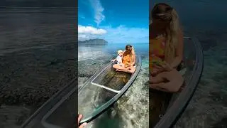 Her second ever ocean adventure #shorts