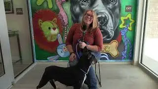 102625 Save-A-Pet Charity