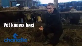 #SixtySecondSolutions - Hook Drenching Life Hack