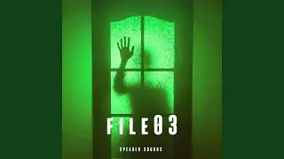 File 03