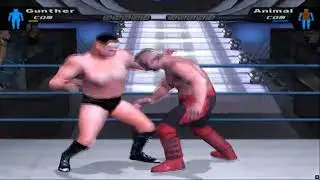 🔥POWER TEST! Gunther Vs Animal | HCTP Walkthrough Gameplay