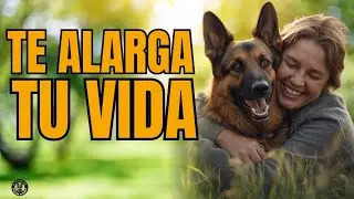 El EFECTO REAL de VIVIR con un PASTOR ALEMÁN
