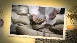 The Journey from Bean to Cup