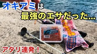 アミエビを撒きながら釣りをしたらメッチャ釣れた！