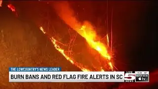 VIDEO: SC Forestry officials issue Red Flag Fire Alert for 33 counties