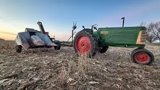 Corn Pickin' and a Grinnin': The Oliver 73 goes to the Corn Field