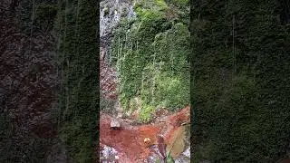 #naturelovers #wildness #forestmagic #mountainlife #naturenow