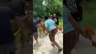 Ketika Owner Anti Virus Turun Tangan Ke Start