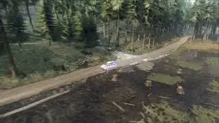 DiRT Rally 2.0 Ford Focus in Scotland