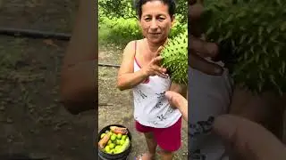 Mi último día visitando a mis abuelitos por muy triste ￼ despedirme de ellos ￼
