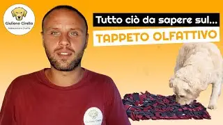 🐶 Tappeto Olfattivo per Cani: Tutto ciò che Devi Sapere! | Giuliano Addestratore