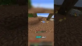Minecraft Path Building: Watch Me Turn Dirt Into a Field!